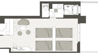 プラナフォース (禁煙) 2名様