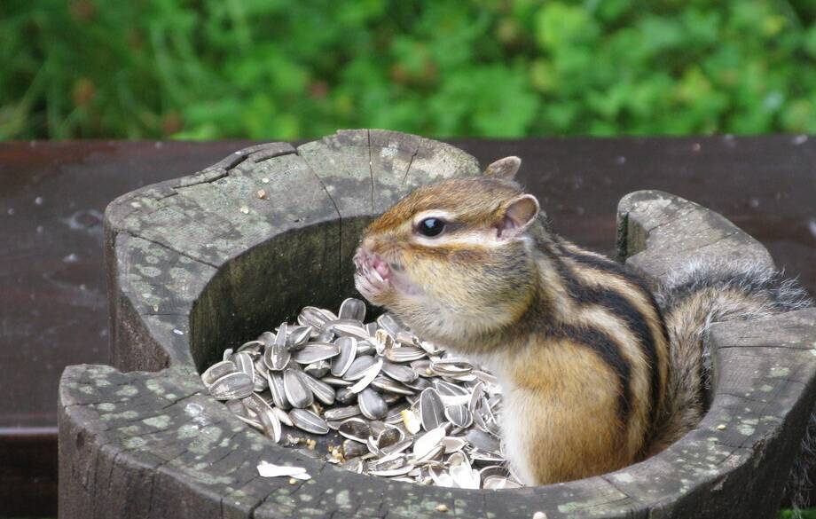 ホテル周辺の風景① / 1