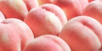 体験して味わって…楽しみ方は無限大♪ 美味しさ以上の幸せ満ちるグルメ旅