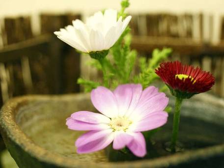 ホテル ニューウエノ / 5