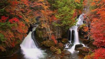 観光スポット / 9