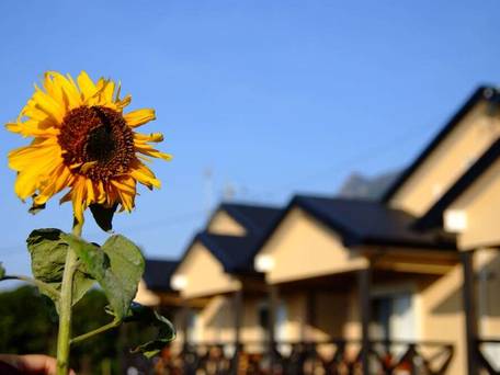 屋久島 コテージ森のフェアリー / 3