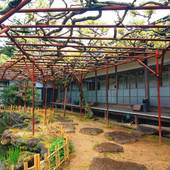 高野山 熊谷寺（和歌山県 旅館） / 5