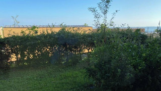 トリプルルーム 3 ベッドルーム 禁煙