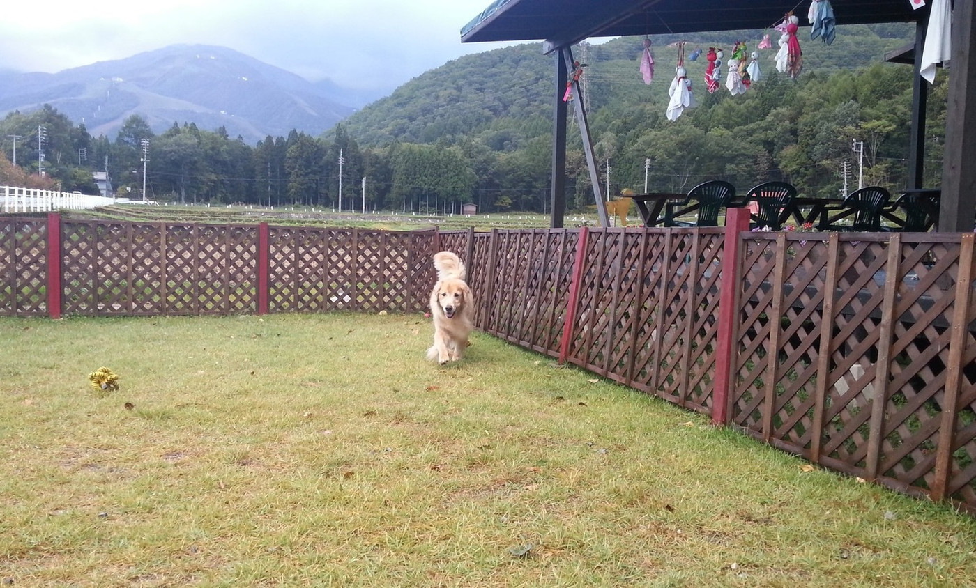 「グラスハウス」 外観 22305868 ミニドッグランでちょっと用足し(笑)