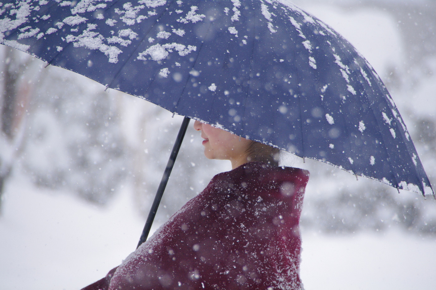 雪の日