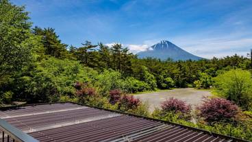 マウンテン ビュー / 6