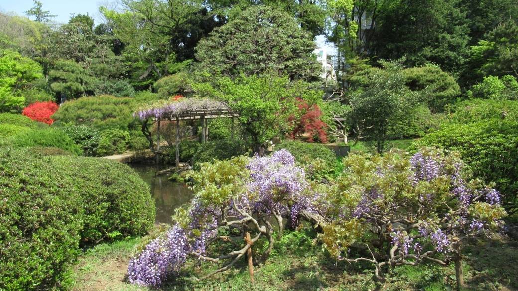 広大な「大隈庭園」で
自然をたっぷり感じて / 1