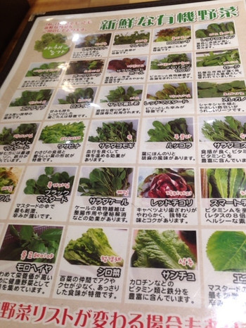 「やさい農家」 料理 21624486 野菜の説明