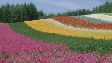 施設の敷地 / 10