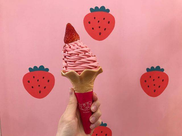 伊豆の観光名所を
車で巡ろう / 4