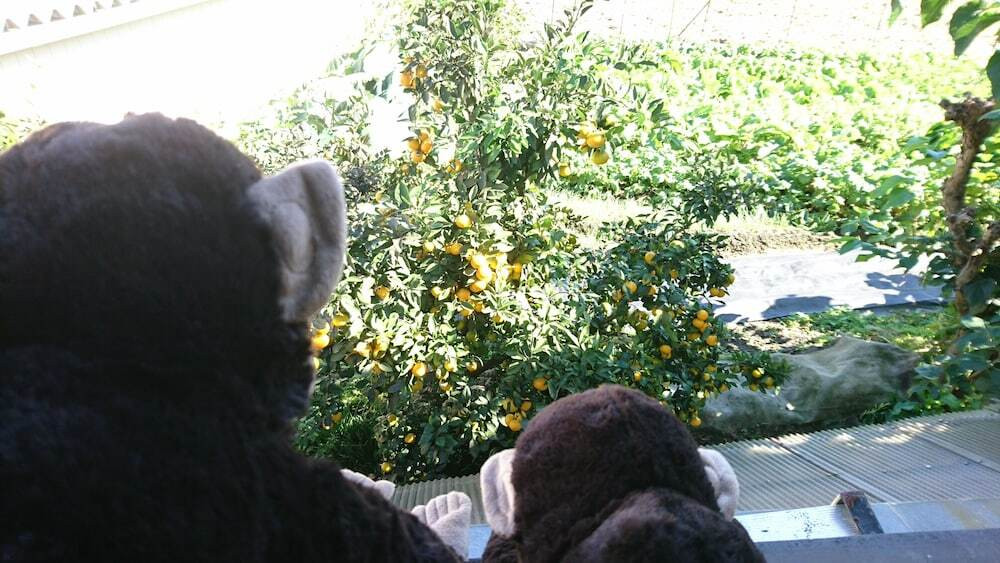 部屋からの景観