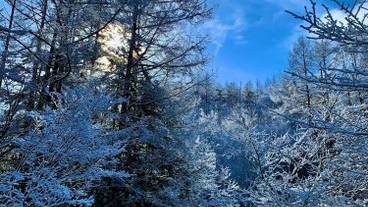 施設の敷地 / 18