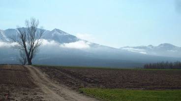 ランド ビュー / 28