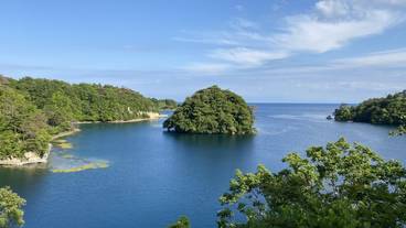 敷地内からの眺望 / 17