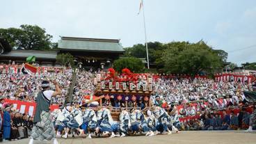 観光スポット / 4