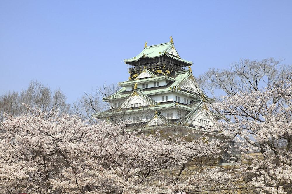 施設からの眺望