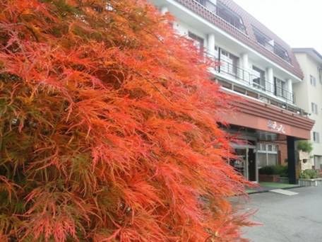 富士河口湖温泉 レイクランドホテル みづのさと / 4