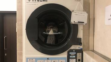 施設内の設備 / 2