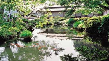 施設からの眺望 / 12