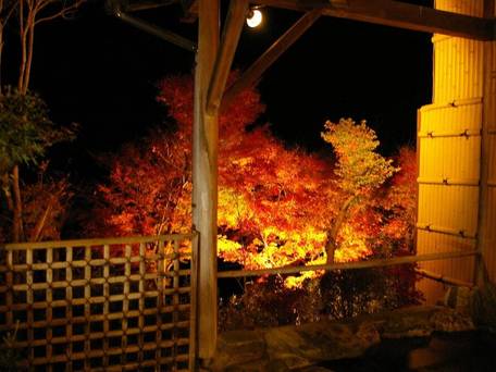 沢渡温泉 宮田屋旅館 / 1