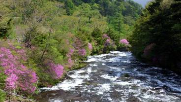 観光スポット / 2