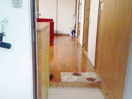 アザミ7（宮古島） / 5