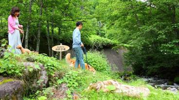 施設の敷地 / 11