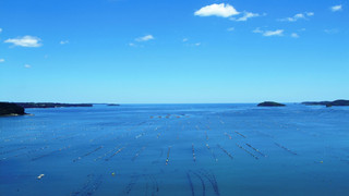 南館海側和室 10帖