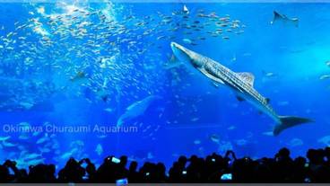 観光スポット / 1