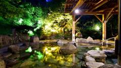 村杉温泉 風雅の宿 長生館