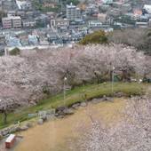 矢太樓・矢太樓南館（長崎県 旅館） / 5
