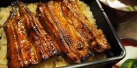 成田山周辺でおいしい【うなぎ】を食べつくす！おすすめ8選