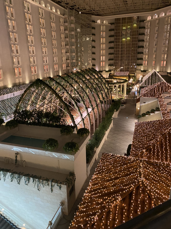 エレベーターから綺麗に見えます