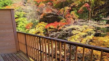 部屋からの景観 / 9