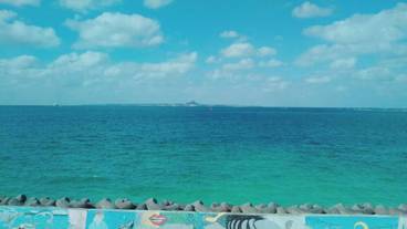 施設からの眺望 / 7