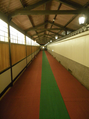 名物エスカレーターは高低差日本一！717342