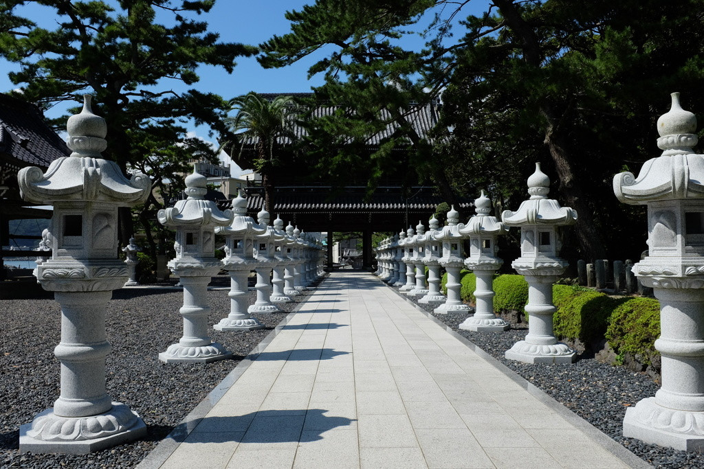 「誕生寺」で心を整えるひと時3553144