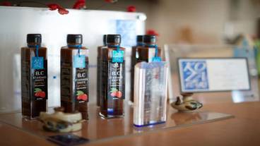 レストラン / 13