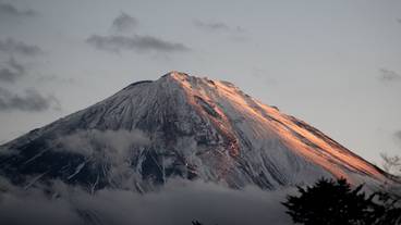 マウンテン ビュー / 12