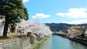 シティ ビュー / 11