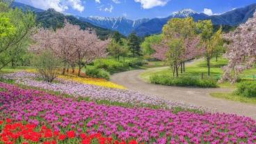 観光スポット / 4