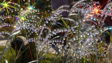 箱根ガラスの森美術館 / 4