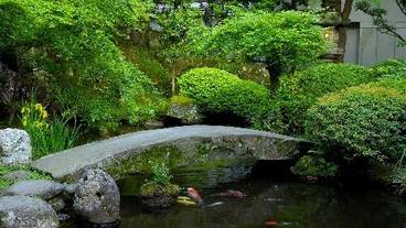 湯河原温泉 青巒荘（せいらんそう）（ユガワラオンセン　セイランソウ） / 4