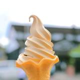 マルキン醤油記念館 売店(マルキンショウユキネンカンバイテン)