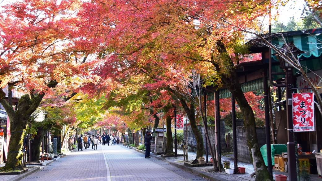 「華厳寺」門前参道 / 2