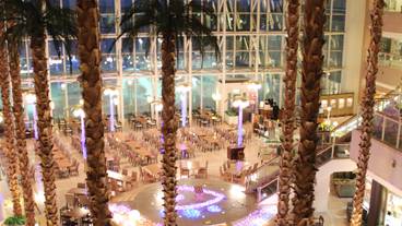 レストラン ヴィーニュ／夜 / 13