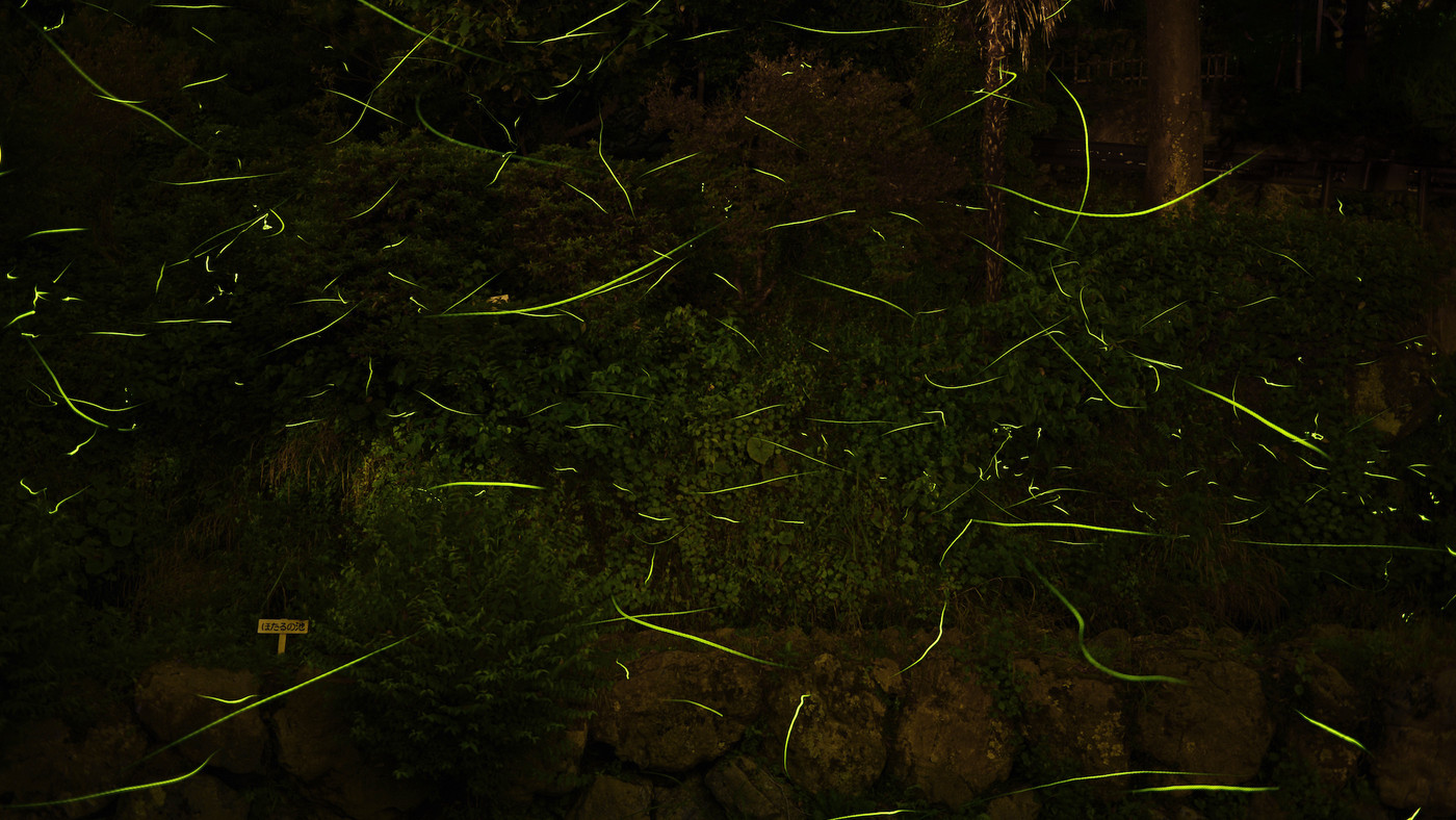 12. 池袋から電車で1本！その先に待つ豊かな自然に驚く「名栗温泉 大松閣」4264110