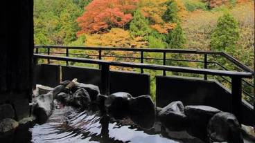 施設の敷地 / 13