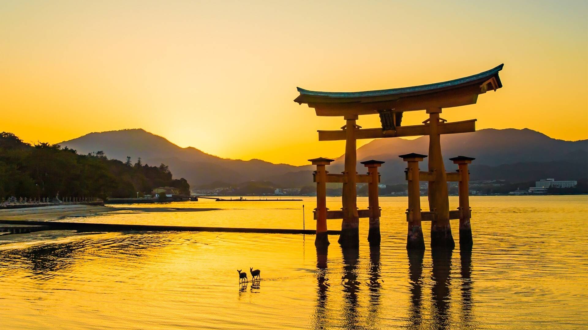 広島県_4